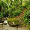 Quoi faire en Guadeloupe et en Martinique côté Terre ?